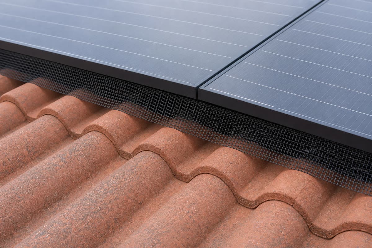 Solar array with professional bird-protection mesh fitted around the perimeter